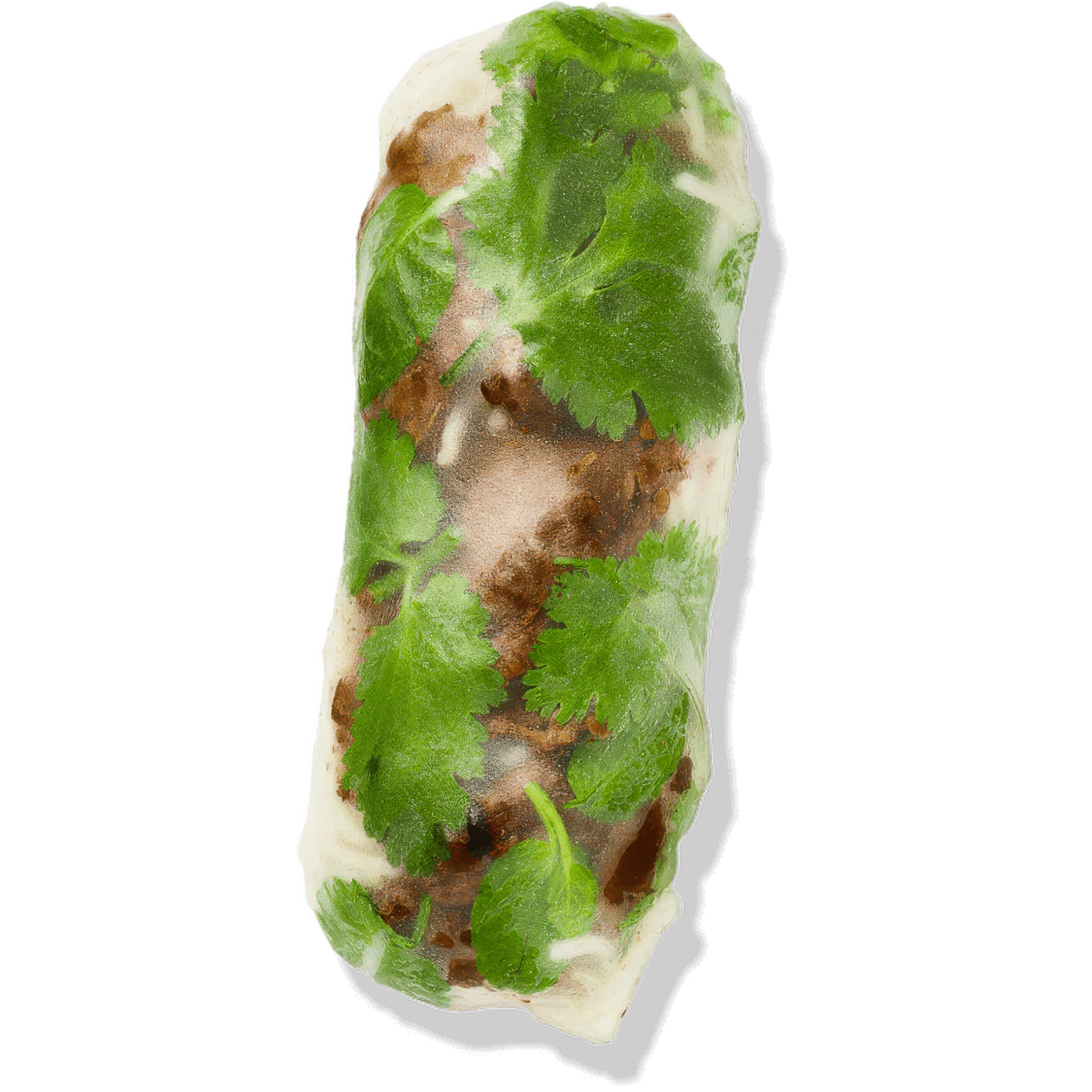 Lemongrass Wagyu Beef Rice Paper Roll