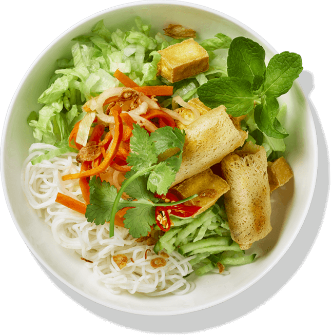 Tofu & Vegetable Spring Rolls Noodle Salad (Bun)